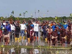 Gubernur Luthfi Ajak Mageri Segoro Tangkal Abrasi di Pesisir Jateng Gubernur Luthfi Ajak Mageri Segoro Tangkal Abrasi di Pesisir Jateng