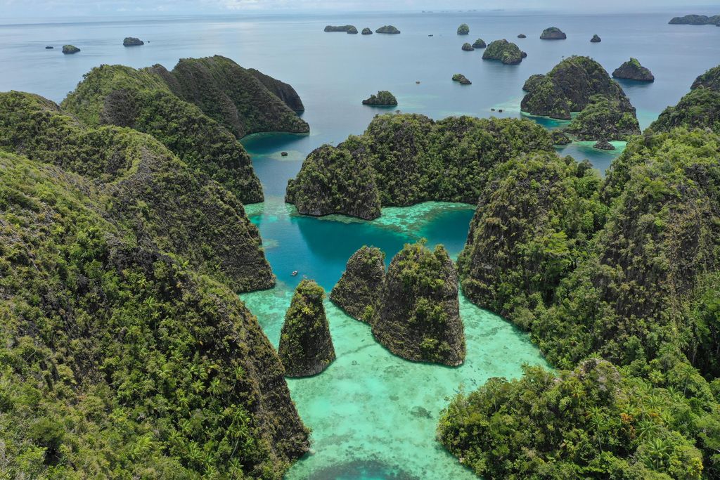 Ilustrasi Raja Ampat