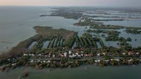 Indonesia Kehilangan 19 Ribu Hektare Hutan Mangrove Setiap Tahun