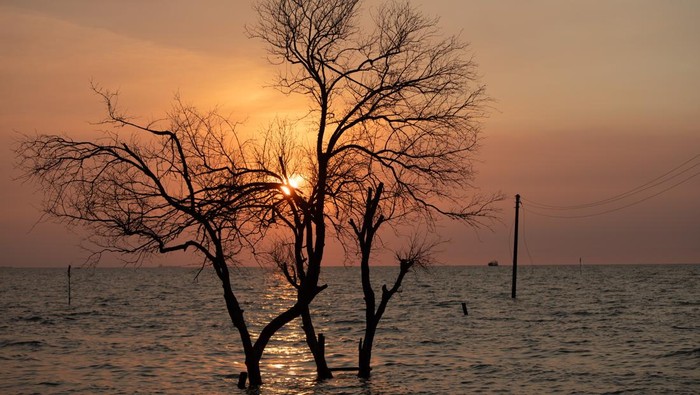 Indonesia Berhadapan dengan Krisis Ekologis Sistemik