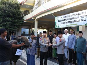 Wujud Toleransi, Kapolda-Wakapolda Bali Serahkan Dua Sapi Kurban Wujud Toleransi, Kapolda-Wakapolda Bali Serahkan Dua Sapi Kurban