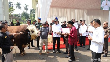Jaksa Agung Sapa Warga: 47 Hewan Kurban Siap Rayakan Hari Raya!