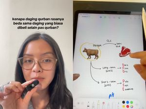 Kenapa Ya Daging Kurban Rasanya Beda dari Daging Biasa? Kenapa Ya Daging Kurban Rasanya Beda dari Daging Biasa?