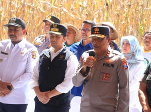 Panen Raya Jagung di Ngawi, Kapolda Jatim: Demi Swasembada Pangan Panen Raya Jagung di Ngawi, Kapolda Jatim: Demi Swasembada Pangan