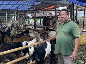Keluh Pedagang Hewan Kurban di Depok Sepi Pembeli Jelang Idul Adha Keluh Pedagang Hewan Kurban di Depok Sepi Pembeli Jelang Idul Adha