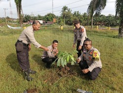 Polisi di Kampar Riau Mulai Gerakan Penanaman Pohon di Mapolsek