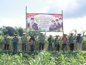 Wujudkan Swasembada Pangan, Polres Blitar Kota Ikut Panen Raya