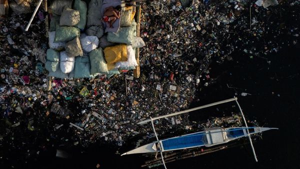Hari Lingkungan Hidup, Sungai di Manila Jadi Lautan Sampah