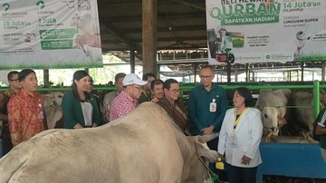 Pramono Memastikan Kesehatan Hewan di Dharma Jaya Jelang Idul Adha: Saksi Siaga untuk Kualitas Qurban!