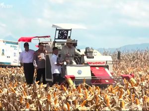 Pakai Traktor Pemanen Jagung, Prabowo Pimpin Panen Raya Serentak Kuartal II