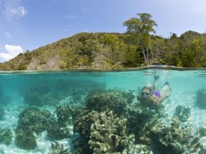 Pesona Keanekaragaman Hayati Indonesia Timur, Cocok untuk Traveler dan Patut Dijaga Pesona Keanekaragaman Hayati Indonesia Timur, Cocok untuk Traveler dan Patut Dijaga