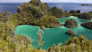 Penyu, Penjelajah Lautan Bagian dari Kehidupan Sehari-hari di Raja Ampat
