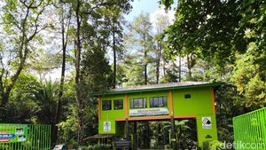 Potret Asrinya Taman Wisata Alam Linggarjati Kuningan