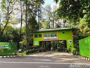 Potret Asrinya Taman Wisata Alam Linggarjati Kuningan Potret Asrinya Taman Wisata Alam Linggarjati Kuningan