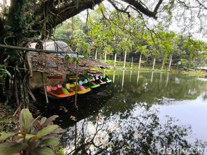 Menikmati Suasana Asri Taman Wisata Alam Linggarjati Kuningan Menikmati Suasana Asri Taman Wisata Alam Linggarjati Kuningan