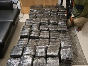 Bareskrim Gagalkan Pengiriman 248 Kg Ganja dari Lampung ke Jakarta