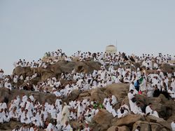 Jemaah Haji Asal Togo Melahirkan saat Wukuf di Arafah