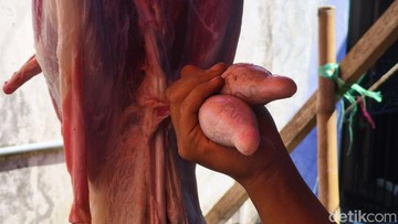 Penampakan Torpedo Kambing, Diyakini Bisa Dongkrak Vitalitas Pria