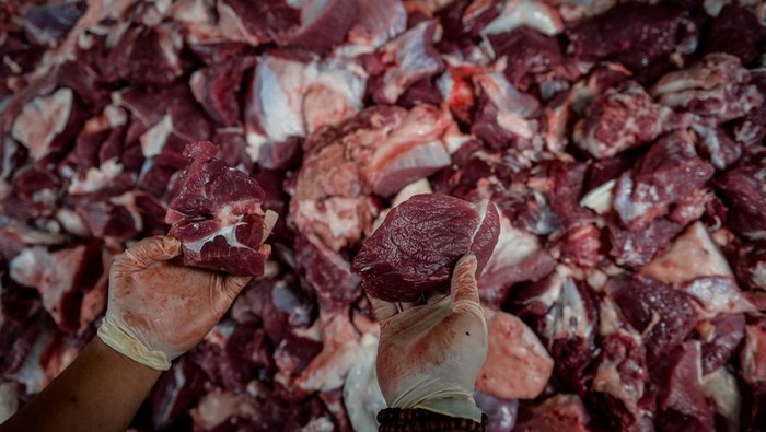 Dokter binatang menyelediki daging sapi kurban di UPT Rumah Potong Hewan (RPH) Bayur, Kota Tangerang, Banten, Jumat (6/6/2025). Pemeriksaan pada jeroan dan daging binatang kurban tersebut untuk menentukan kelayakan serta keselamatan sebelum dikonsumsi masyarakat. ANTARA FOTO/Putra M. Akbar/nym.