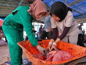 Daging Kurban dan Jeroan Diperiksa, Pastikan Aman Dikonsumsi Warga