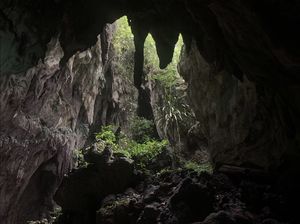 Raja Ampat dan Temuan Arkeolog, Saksi Kunci Penyebaran Manusia di Pasifik