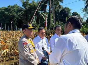 Gugus Tugas Ketahanan Pangan Polri Tegaskan Komitmen Capai Misi Swasembada Jagung Gugus Tugas Ketahanan Pangan Polri Tegaskan Komitmen Capai Misi Swasembada Jagung