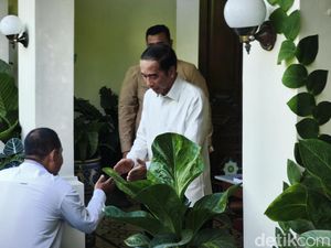 Respons Jokowi soal Namanya Masuk Bursa Caketum PPP