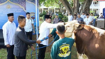 Polda Jateng Sembelih 808 Sapi-Kambing, Ribuan Paket Kurban Dibagikan ke Warga