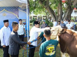 Polda Jateng Sembelih 808 Sapi-Kambing, Ribuan Paket Kurban Dibagikan ke Warga Polda Jateng Sembelih 808 Sapi-Kambing, Ribuan Paket Kurban Dibagikan ke Warga