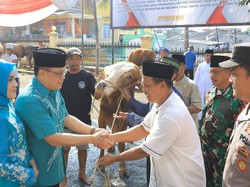 Polda Lampung Potong 58 Hewan Kurban