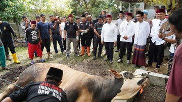 Kapolda Riau Serahkan Sumbangan Sapi Kurban 980 Kg dari Kapolri ke UAS