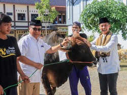 Momen Idul Adha, Polres Bojonegoro Salurkan 51 Hewan Kurban
