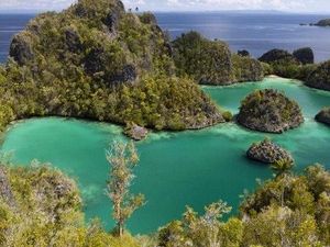 Aktivitas Tambang Ancam Ekosistem Raja Ampat, KLH Turun Tangan