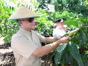 Punya Potensi Kopi, Kawasan Lembantongoa Siap Jadi Pusat Ekonomi Baru