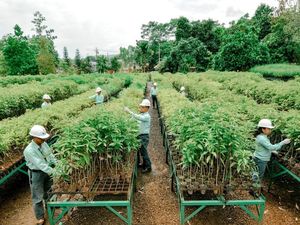 Jurus Grup MIND ID Kurangi Polusi Sampah Plastik di Indonesia