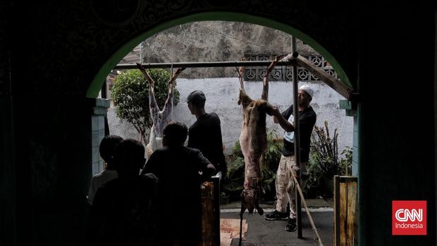 Warga menyembelih hewan qurban saat Idul Adha 1446 H di kawasan Kebon Melati, Jakarta, Jumat, 6 Juni 2025. (CNN Indonesia/Adhi Wicaksono)