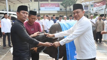 Polres Depok Sembelih Kurban 9 Sapi-19 Kambing, Daging Dibagikan ke Warga