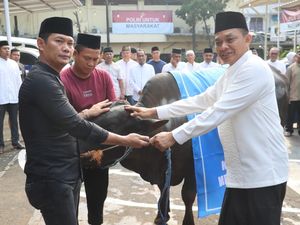 Polres Depok Sembelih Kurban 9 Sapi-19 Kambing, Daging Dibagikan ke Warga