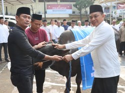 Polres Depok Sembelih Kurban 9 Sapi-19 Kambing, Daging Dibagikan ke Warga