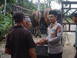Polres Rohul Salurkan 10 Ekor Hewan Kurban ke Masjid-masjid di Pelosok Desa