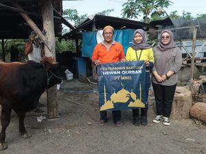 Sambut Idul Adha, PT BSI Salurkan 67 Ekor Hewan Kurban