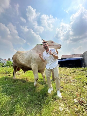 Raffi Ahmad Kurban 22 Sapi dan 90 Domba