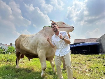 Masya Allah! Raffi Ahmad Kurban 22 Sapi dan 90 Kambing