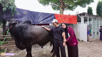 Haru! Momen Perpisahan Sonny Septian dan Fairuz dengan Sapi Kurban 1,2 Ton
