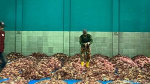 Melihat Banjir Daging Kurban di Dusun Krajan Banjarnegara