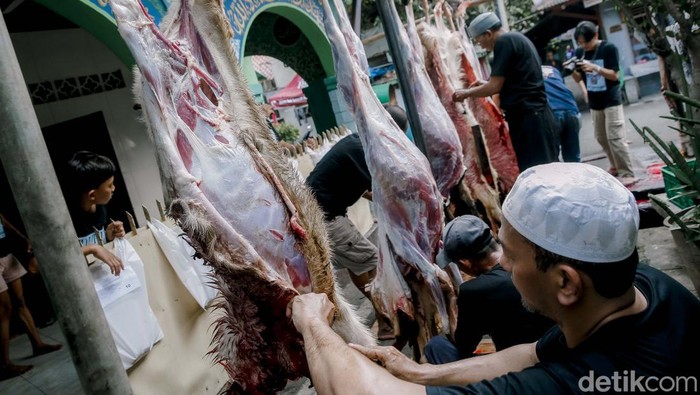 Semangat Kurban Warga Kebon Melati, Sembelih Kambing sampai Kerbau Warga menyembelih binatang kurban dikala Idul Adha 1446 H di wilayah Kebon Melati, Jakarta, Jumat (6/6/2025). Hewan kurban kambing, sapi sampai kerbau disembelih usai umat muslim mengerjakan Salat Hari Raya Idul Adha 1446 H.