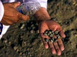 Umat Muslim Bersiap Lempar Jumrah di Puncak Haji