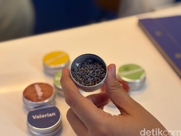 Ini Racikan Teh Herbal yang Bisa Bikin Kantuk dalam Waktu 30 Menit
