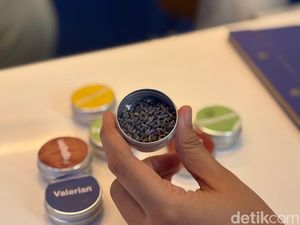 Ini Racikan Teh Herbal yang Bisa Bikin Kantuk dalam Waktu 30 Menit Ini Racikan Teh Herbal yang Bisa Bikin Kantuk dalam Waktu 30 Menit