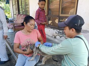 Anjing Liar yang Menggigit Sembilan Warga di Jembrana Positif Rabies Anjing Liar yang Menggigit Sembilan Warga di Jembrana Positif Rabies